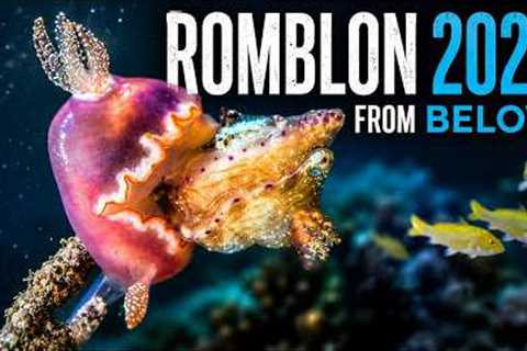 What its like to scuba dive in Romblon, Philippines