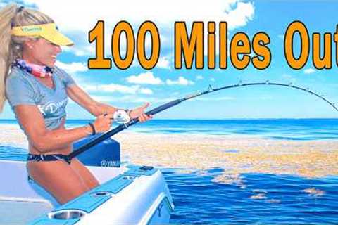 100 Miles Offshore Catching Massive Blackfin Tuna, Mahi and Snappers! (Catch & Cook)