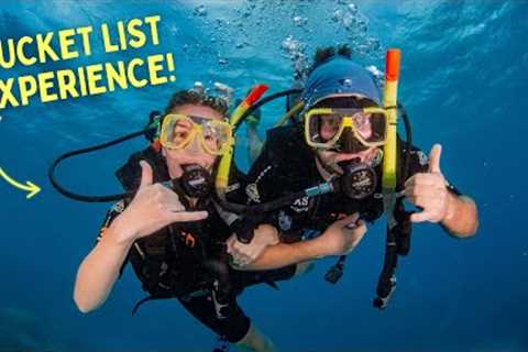 FINALLY Visiting the GREAT BARRIER REEF!! (What to Expect on a Day Trip from Cairns) - Queensland