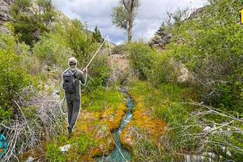 Fly Fishing the DRIEST State in America for 3 Days! (Nevada Trout Fishing)