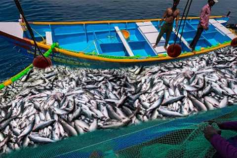 AMAZHING FISHING 😨 Biggest Catch Ever | 5 Tons Of Tuna Fishes Caught In Single Catch. 😳