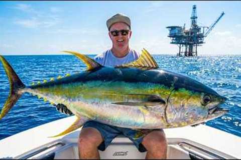FOUR Hours of The World's BEST Offshore Tuna Fishing in Venice, LA (Saltwater Fishing in the Gulf)