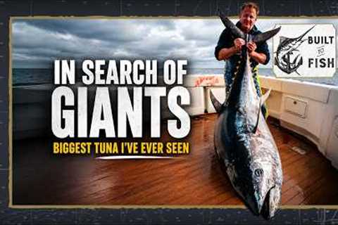 In Search of Giants | The Biggest Tuna I’ve Ever Seen!