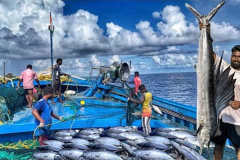 Great! On The Twelfth Day We Stayed In The Deep Sea And Caught Huge Fish | Day-12 | Deep Sea Fishing
