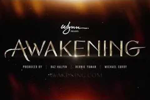 The Show You Can Only See at Wynn