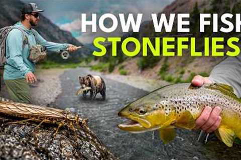 How to Fly Fish the Golden Stonefly Hatch — Dry Dropper Tactics for Beginners