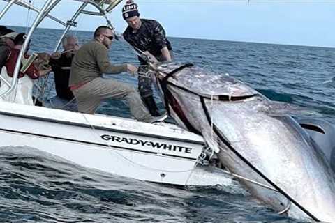 Amazing Fastest Giant Bluefin Tuna Fishing Skill - Most Satisfying Sea Fishing Video