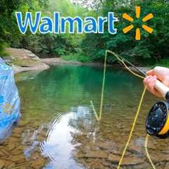 WALMART FLY FISHING CHALLENGE!! || Fly Fishing for Beginners (Brown Trout)