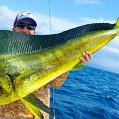 Giant Dolphin Caught using Berkley Gulp + MASSIVE Marlin