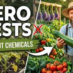 The Natural Pest Solution Gardeners Wish They Knew Years Ago