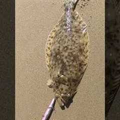 4 tips in 13 seconds to help YOU catch surf HALIBUT
