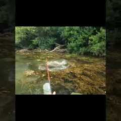 Fishing Unknown Waters |  #fishing