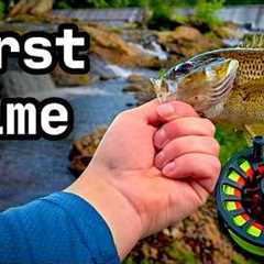 Fly Fishing With ZERO Experience! (Easier than you think)
