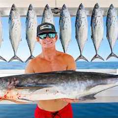 MOST Expensive vs LEAST Expensive fish! Catch Clean Cook (Bonito)