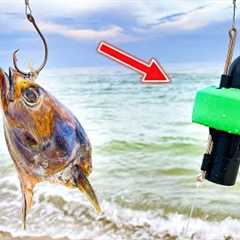 Huge BAIT DROP With UNDERWATER Camera (GOFISH CAM)