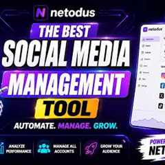 Best Social Media Management Tool for Businesses | Netodus