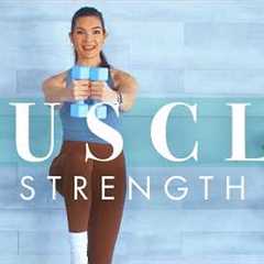 Weight Training Workout to Build Muscle for Beginners & Seniors // Strength w/ Dumbbells