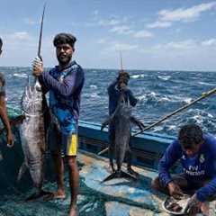 UNBELIEVABLE CATCH‼️We Caught a GIANT Marlin in the Middle of the Ocean!🤩 The Tenth Day‼️