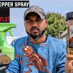 How To Make Cayenne Pepper Spray  Natural Homemade Bugs , Pests & Animals Repellent Spray