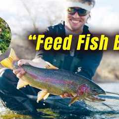 This Fly CRUSHES TROUT! | Feed Fish Bugs Ep. 1