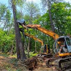 Building A House For A Family : Ep2 - Clearing Land