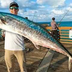 Catch The Biggest Pier Fish, Win $1000