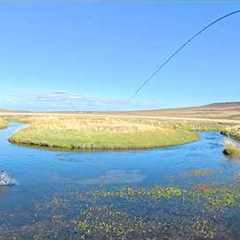 I Visited One of the Best Spring Creeks for Brown Trout - Unforgettable Fly Fishing