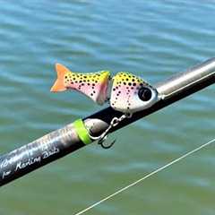 Smallest GlideBait Ever | One Day Build to Catch
