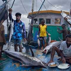 An Unforgettable Day‼️Living Off the Ocean for Eleventh Day 🤤 Epic Seafood Meal‼️
