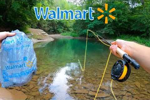 WALMART FLY FISHING CHALLENGE!! || Fly Fishing for Beginners (Brown Trout)