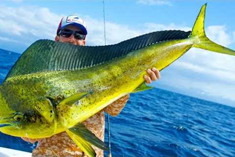 Giant Dolphin Caught using Berkley Gulp + MASSIVE Marlin