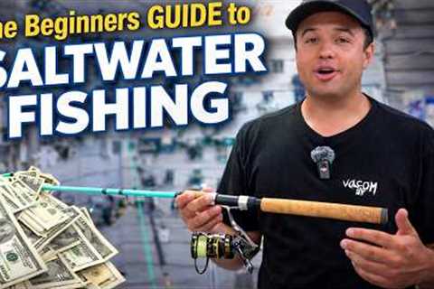 Beginner's Guide To Saltwater Fishing Without Breaking The Bank!