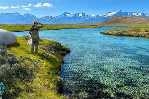 Fly Fishing and Camping Montana for the First Time... This Place is INCREDIBLE!