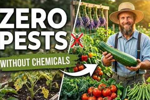 The Natural Pest Solution Gardeners Wish They Knew Years Ago