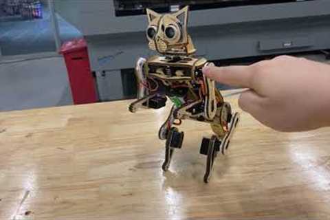 Nybble Programmable Robot Cat Kit | Walk Balance & Code Your Own Kitten! | PetoiCamp