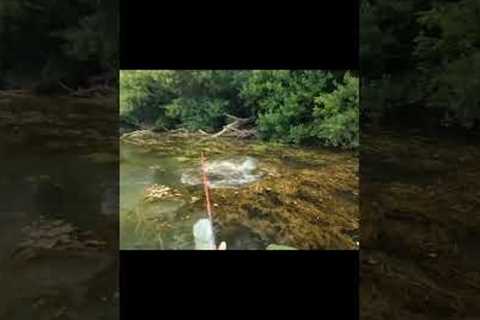 Fishing Unknown Waters |  #fishing