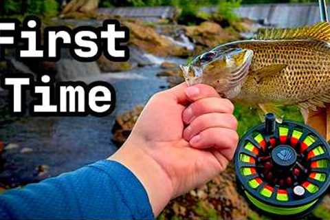 Fly Fishing With ZERO Experience! (Easier than you think)