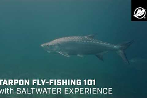 Tarpon Fly Fishing Basics: Gear, Technique & Strategy With Saltwater Experience