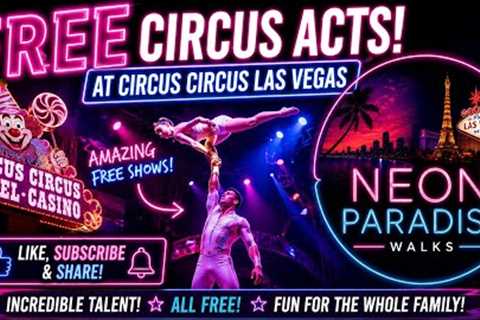 FREE Circus Shows at Circus Circus Las Vegas 🎪 | The Best FREE Entertainment on the Strip? #Vegas 