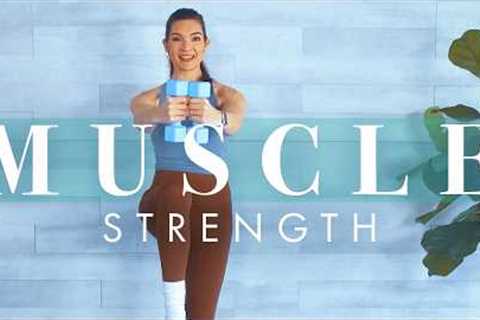 Weight Training Workout to Build Muscle for Beginners & Seniors // Strength w/ Dumbbells