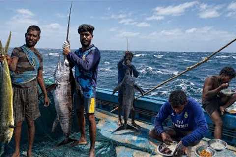 UNBELIEVABLE CATCH‼️We Caught a GIANT Marlin in the Middle of the Ocean!🤩 The Tenth Day‼️