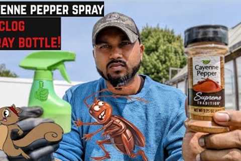 How To Make Cayenne Pepper Spray  Natural Homemade Bugs , Pests & Animals Repellent Spray