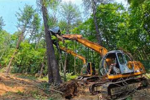 Building A House For A Family : Ep2 - Clearing Land