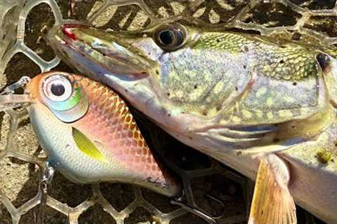 Making Baits and Catching Pike
