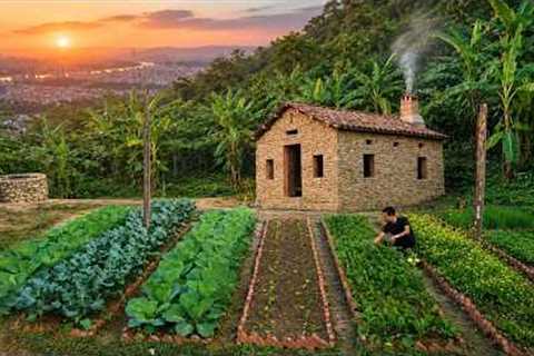 Leaving the City to Build My Dream Self-Sufficient Garden in the Mountains