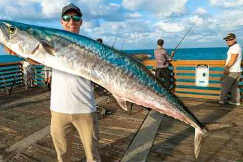 Catch The Biggest Pier Fish, Win $1000