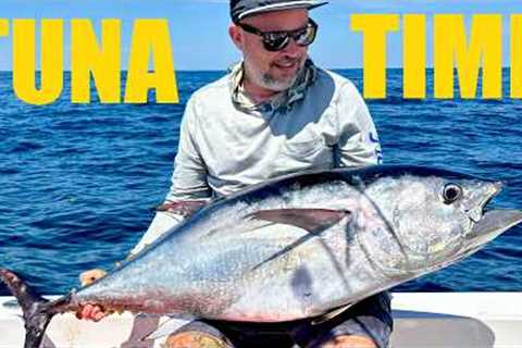 Jigging Bluefin Tuna in New York | Grilled Bloodline