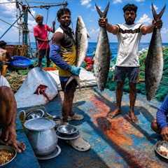 🤩Massive Fish Catch After Days of Waiting! ‼️12 Days in the Middle of the Ocean – Fishing Journey‼️
