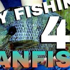 How to Fly Fish for Panfish   Beginner's Fly Fishing