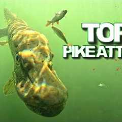 TOP 10 Underwater Pike Attacks ! Best fishing actions of 2024 in 4K quality | Underwater World